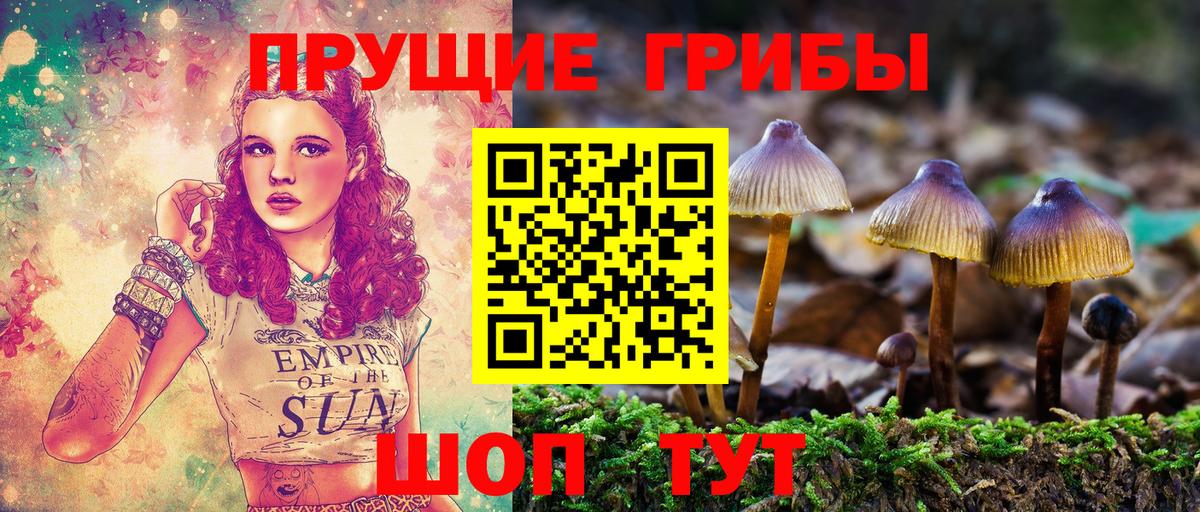 Галлюциногенные грибы Magic Shrooms Орехово-Зуево