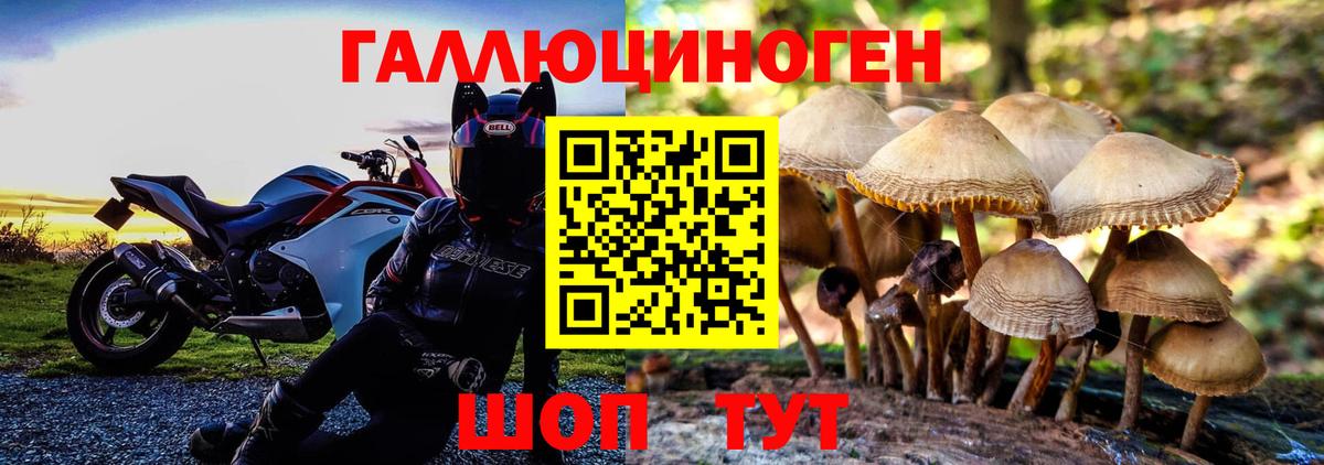 Псилоцибиновые грибы Cubensis  Вход с VPN  Псилоцибиновые грибы Magic Shrooms  Орехово-Зуево 